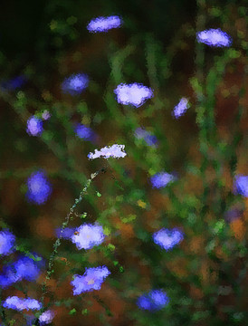 花卉油畫