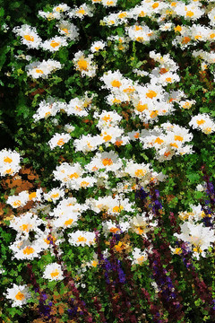 花卉油畫