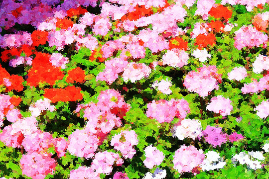 花卉油畫