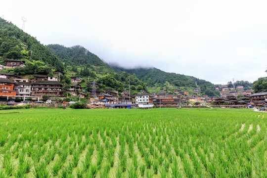 凯里雷山西江千户苗寨