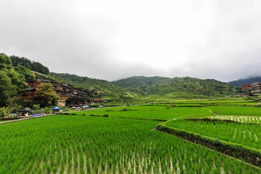 凯里雷山西江千户苗寨