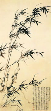 歸莊 竹石圖