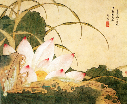 荷花圖 謝蓀