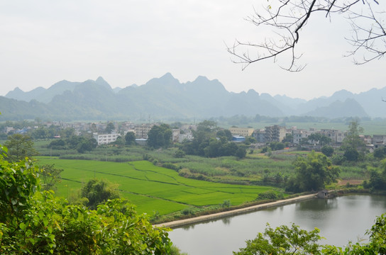 鄉村