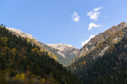 高山