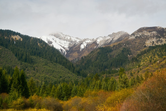 高山