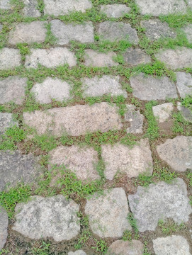 长草的石头路素材 毛石路