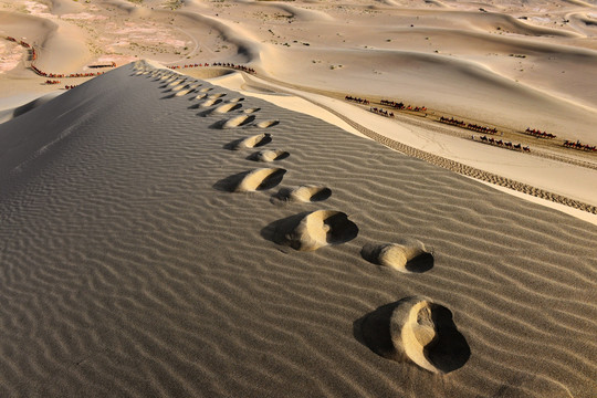 沙漠上的脚印