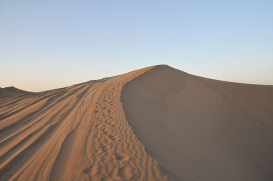 沙波 额济纳旗巴丹吉林大沙漠