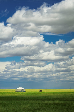 草原 蒙古包 放牧 牧民