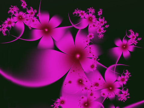 數(shù)碼花卉