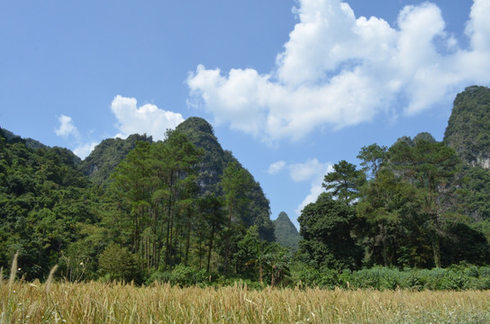 山村田园