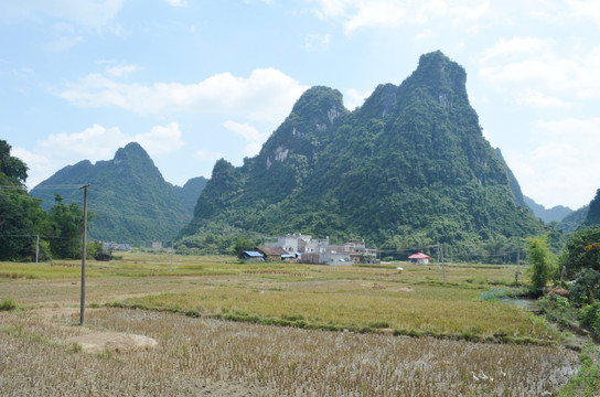 山村田园