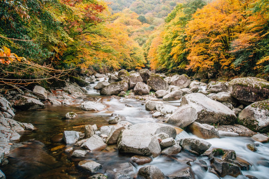 光雾山风景