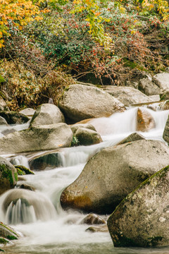 光雾山溪流