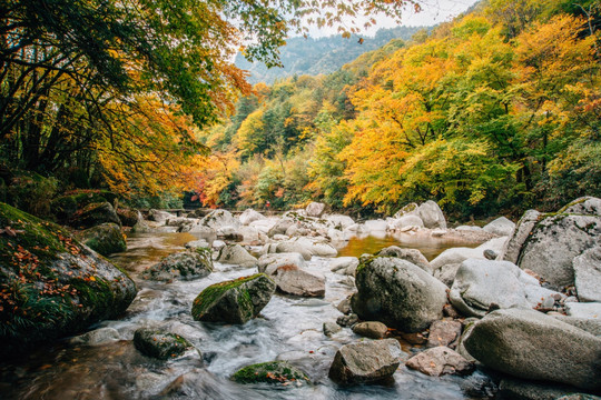 光雾山秋色