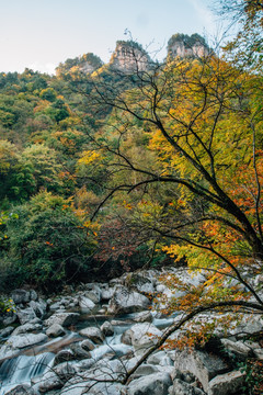 光雾山秋色