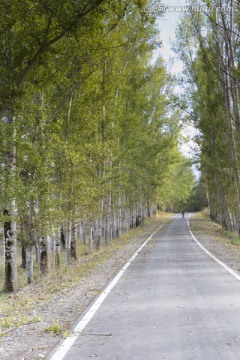 乡村级公路