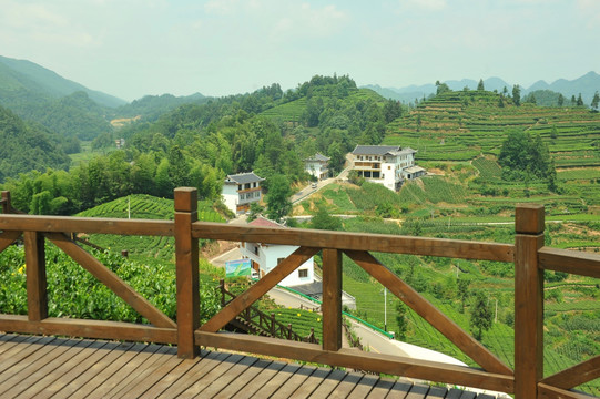 鄉(xiāng)村茶園旅游美麗風(fēng)光