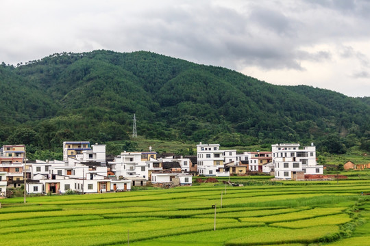 贵州旅游沿途风景