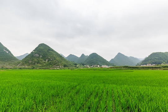 贵州旅游沿途风景