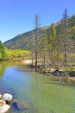 达古冰山情人滩 清澈溪水