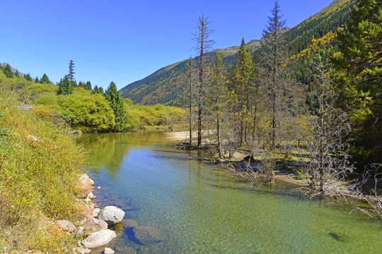 达古冰山情人滩 清澈溪水