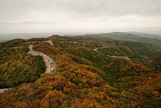 人祖山红叶