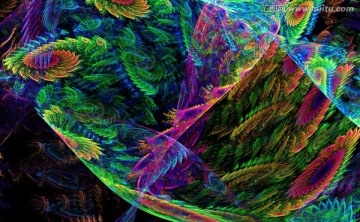 花紋圖案