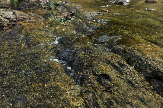 清澈水流  山泉水