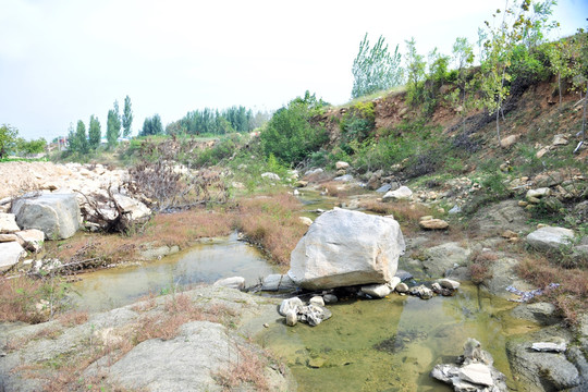 河道  小河  河滩