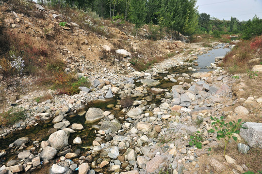 河道  河床 小河