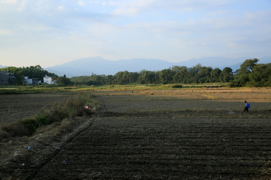 冬种 种植 农民 劳动 秋景