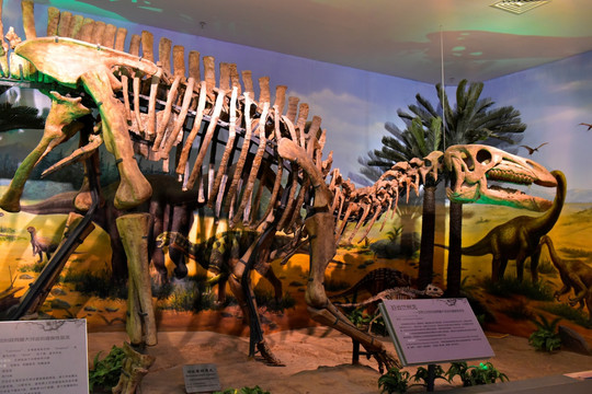 巨齿兰州龙 恐龙
