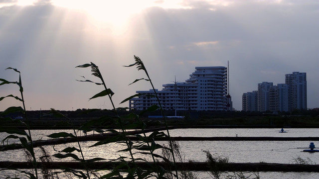 鱼塘 秋景