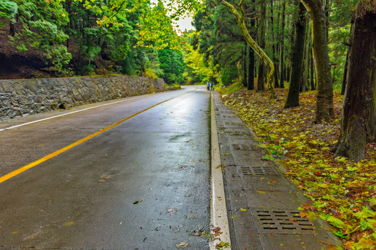 盘山公路