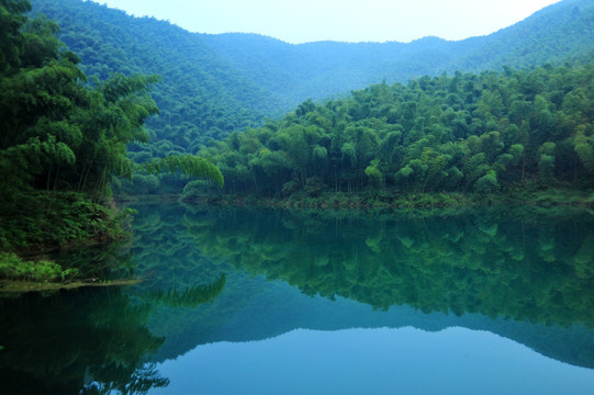 竹林风景