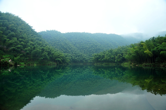 山水竹林风景壁纸