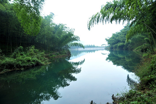 山水竹林风景壁纸