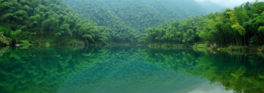 山水竹林风景壁纸