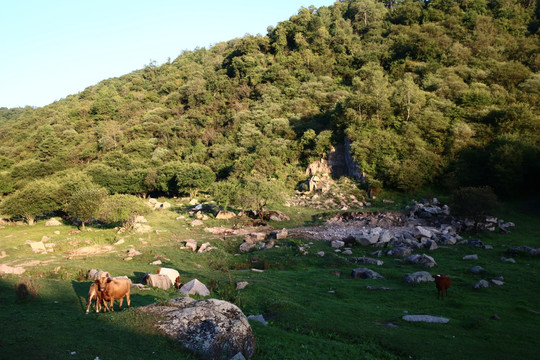 关山牧场