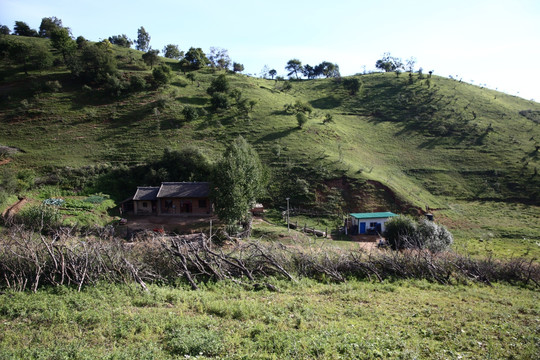 关山牧场