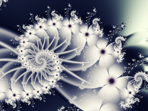 分形花卉