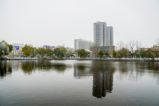 城市公园雪后景观