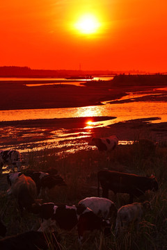 太阳河