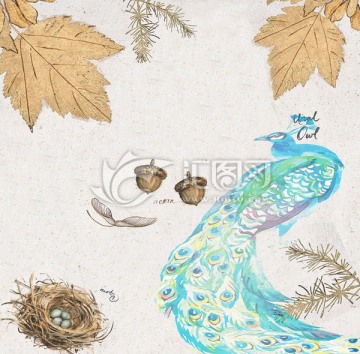 孔雀 歐美風(fēng)格 英倫風(fēng) 懷舊