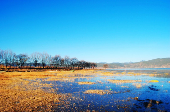 湿地公园