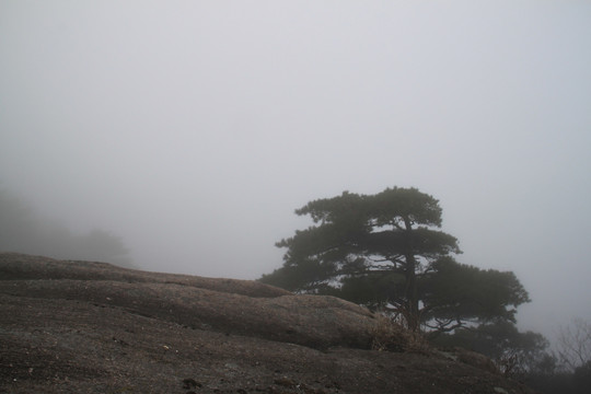 仙境黄山