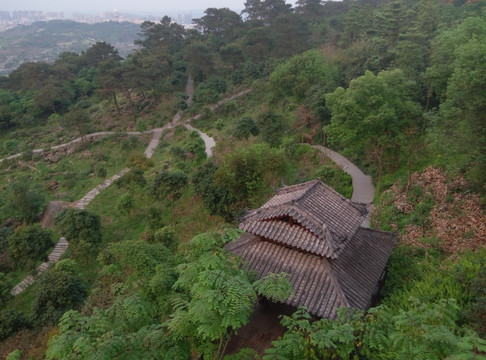 青秀山鸟瞰