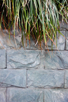 植物石砖墙